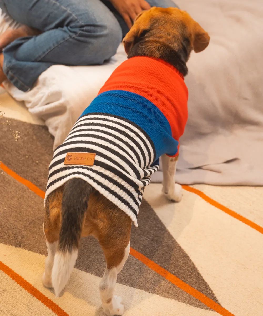 Red-blue Striped Sweater