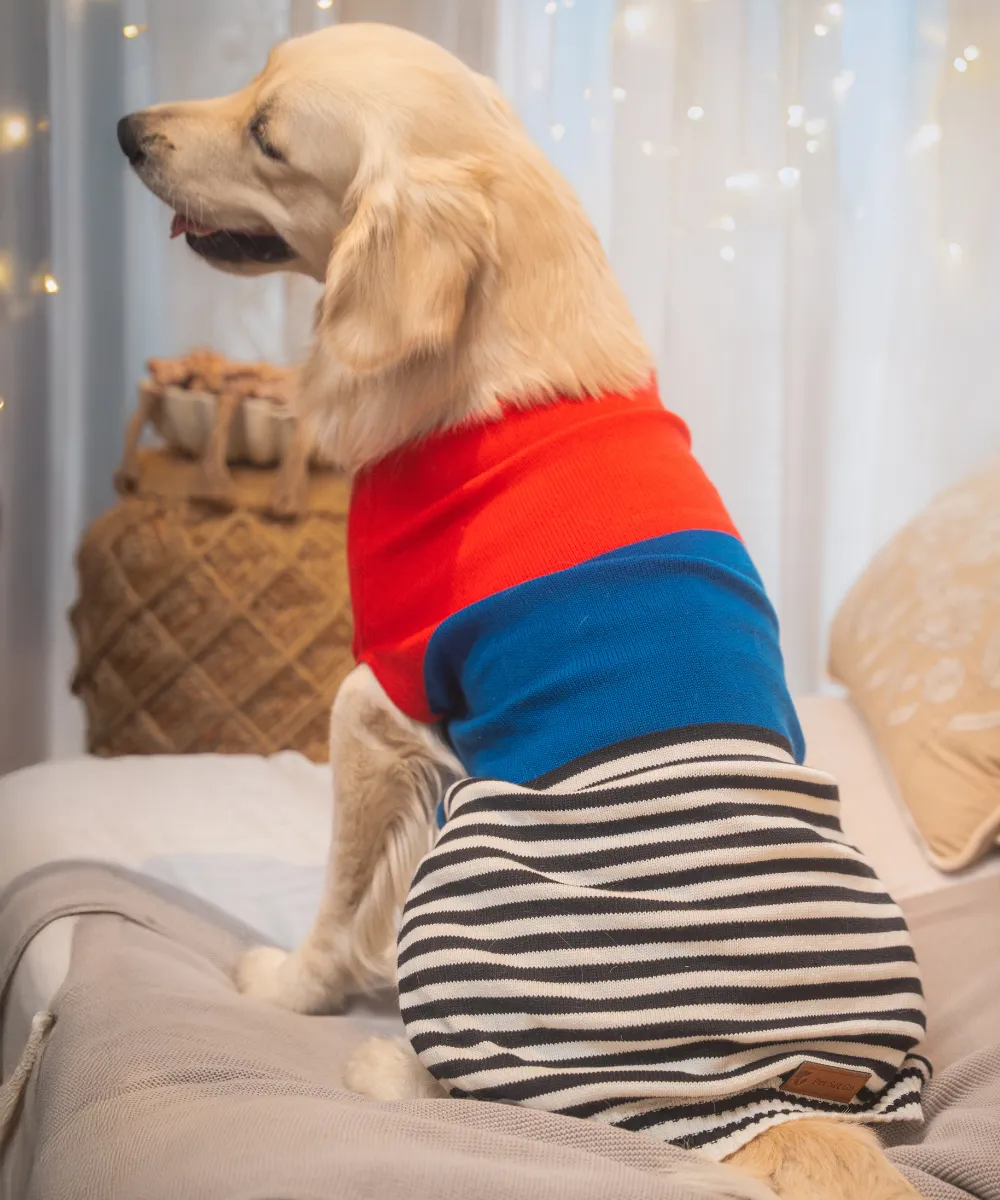 Red-blue Striped Sweater