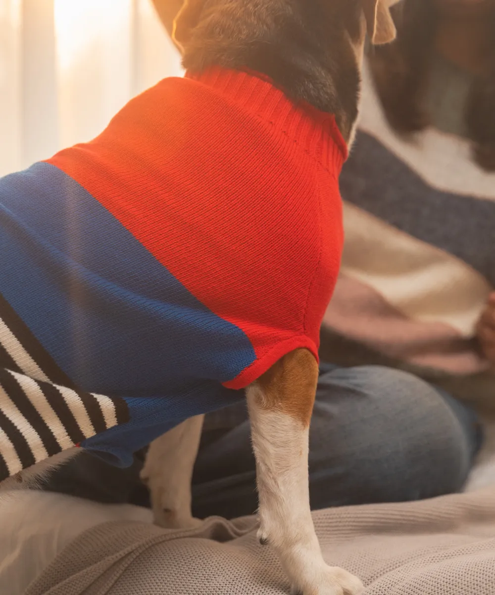 Red-blue Striped Sweater