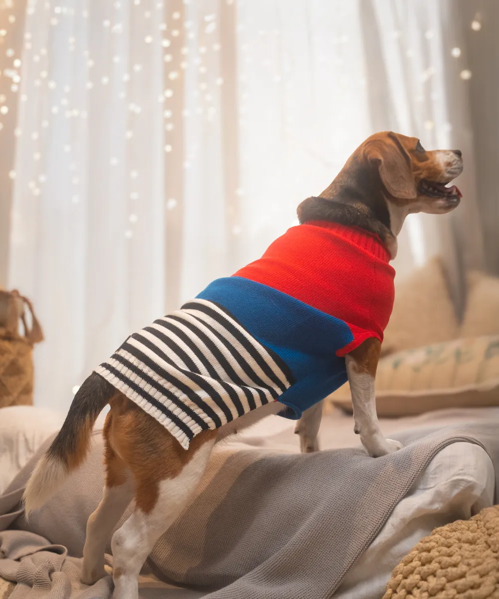 Red-blue Striped Sweater